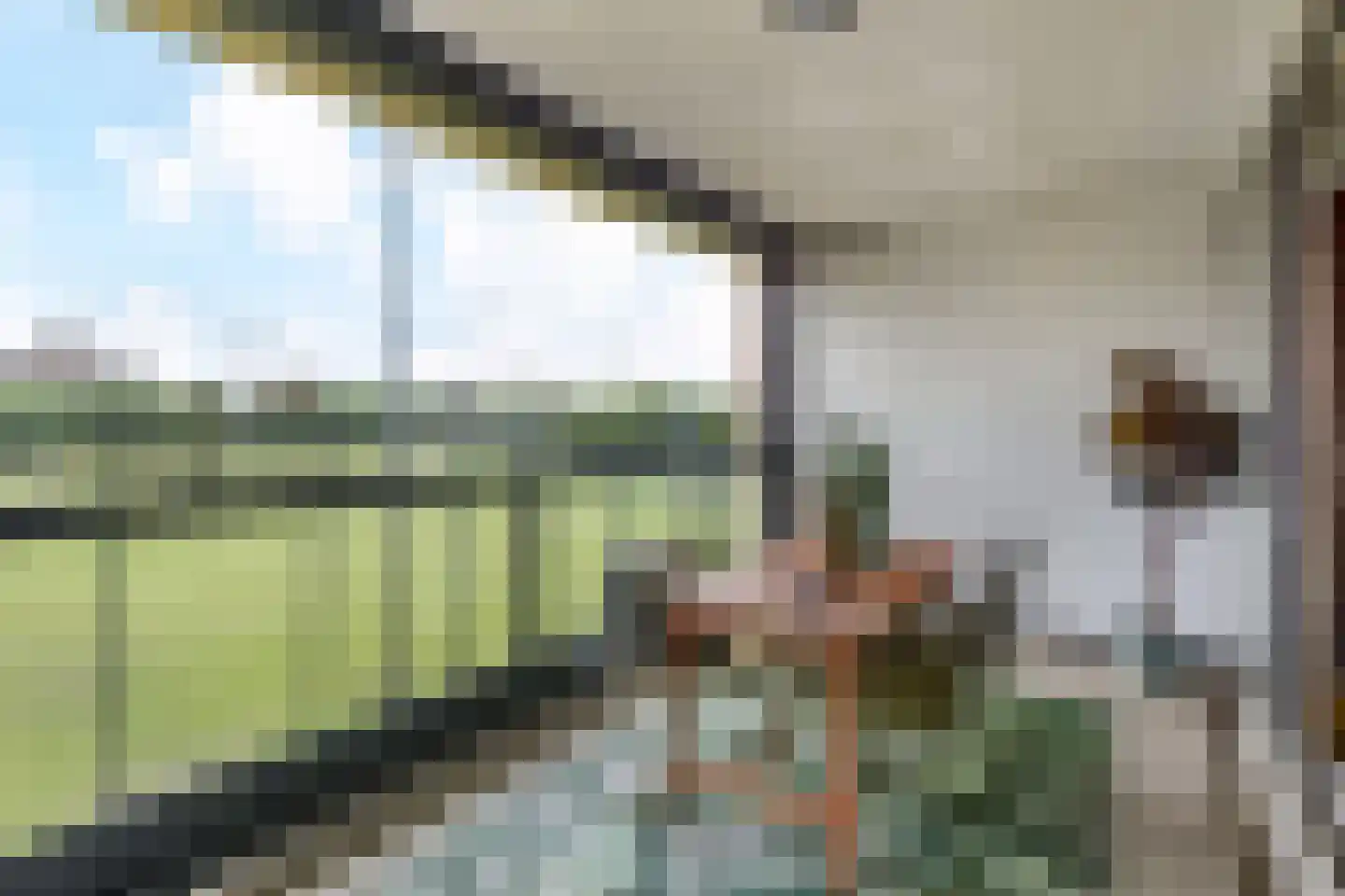 Tjalie Robinsonduin 24 Den Haag thumbnail 14