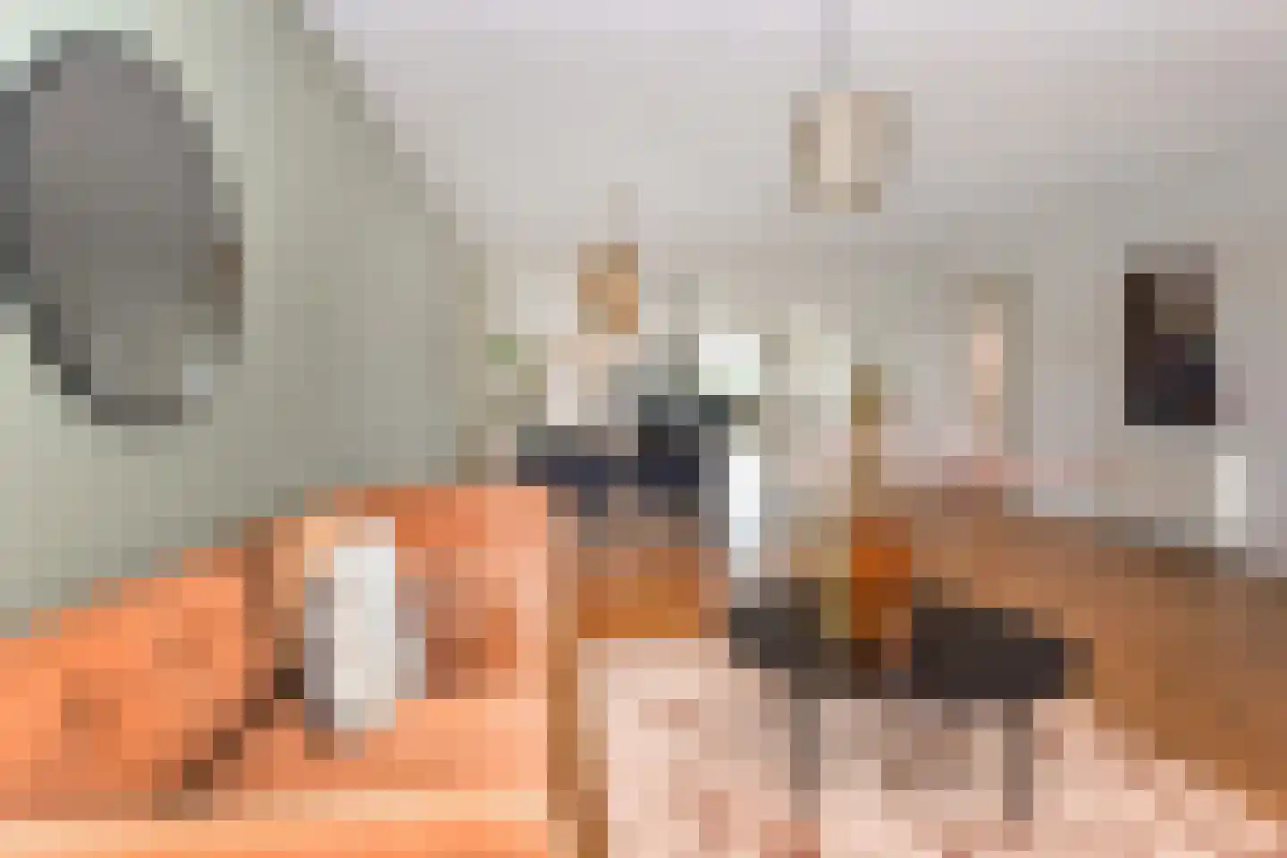 Tjalie Robinsonduin 24 Den Haag thumbnail 15