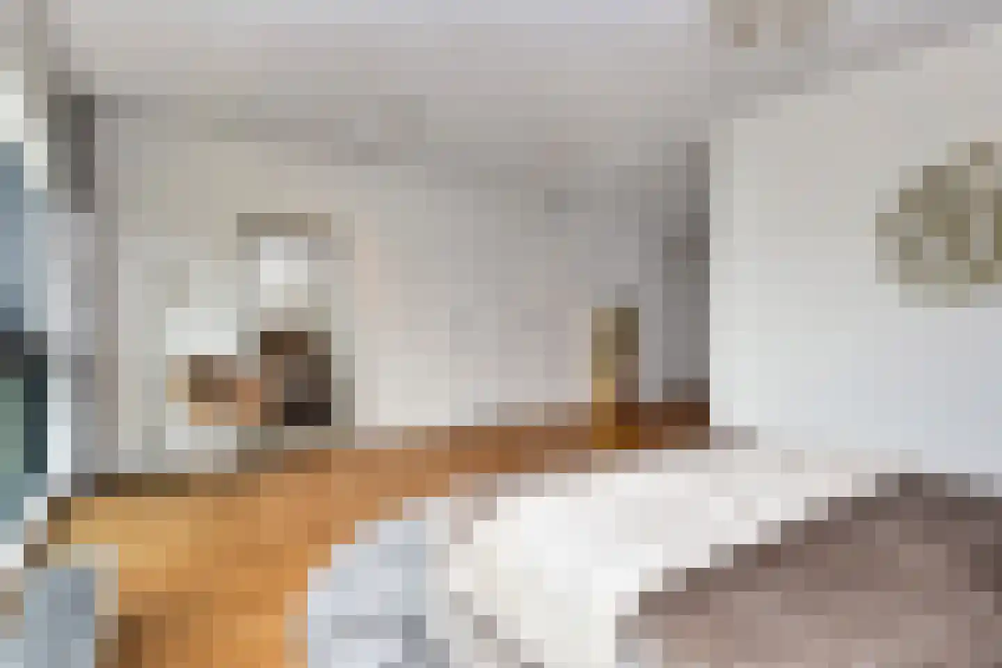 Tjalie Robinsonduin 24 Den Haag thumbnail 26