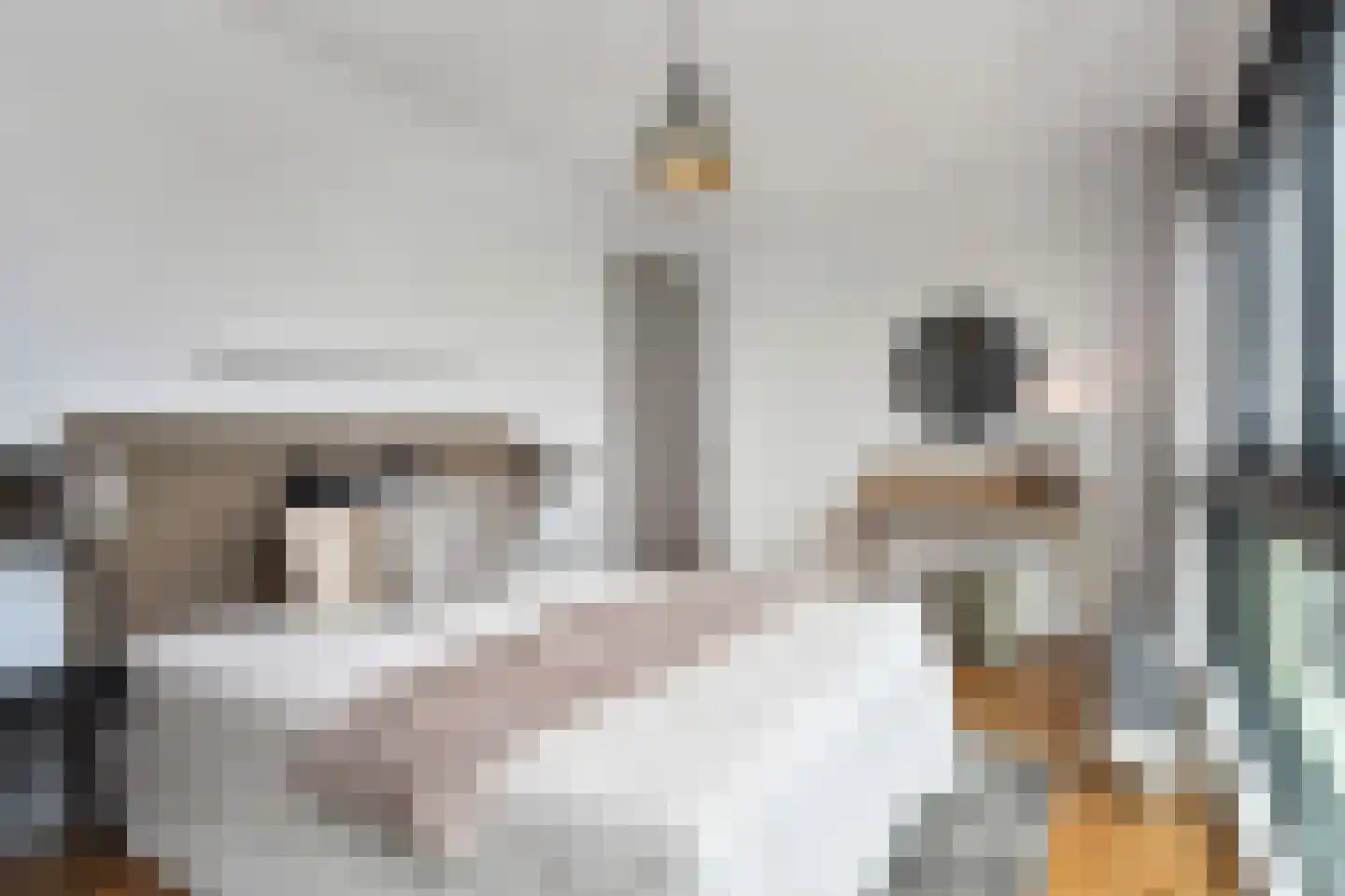 Tjalie Robinsonduin 24 Den Haag thumbnail 33