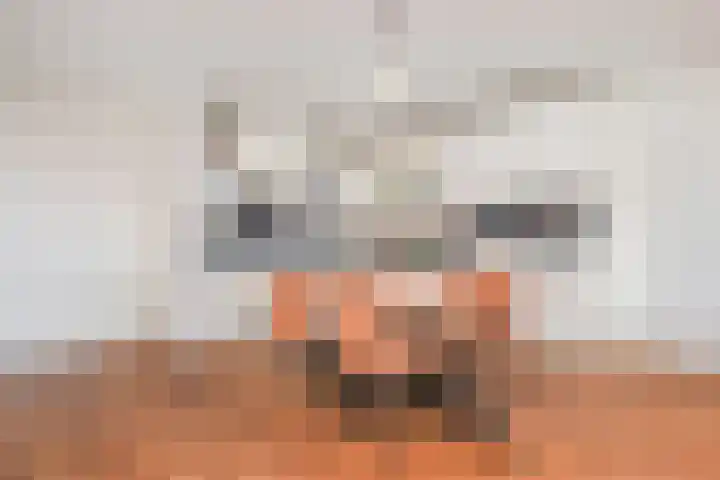 Tjalie Robinsonduin 37 Den Haag thumbnail 19