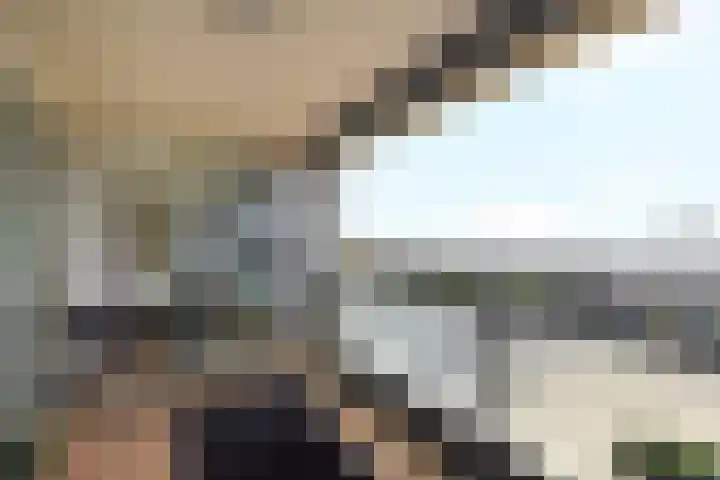 Tjalie Robinsonduin 94 Den Haag thumbnail 11