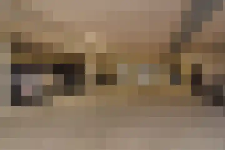 Tjalie Robinsonduin 94 Den Haag thumbnail 46