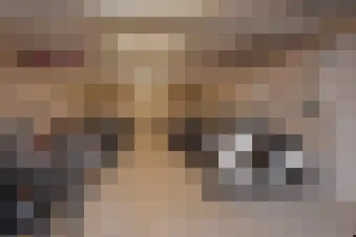 Tjalie Robinsonduin 94 Den Haag thumbnail 47