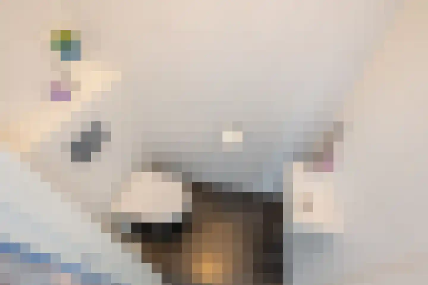 Tjalie Robinsonduin 99 Den Haag thumbnail 51