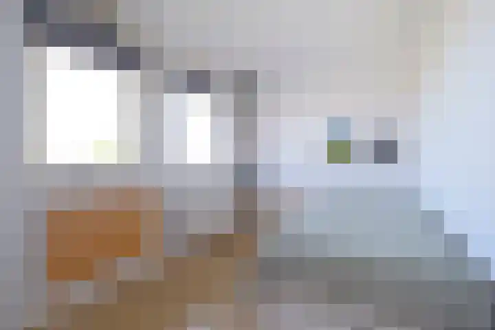 Tjalk 1 Assen thumbnail 27