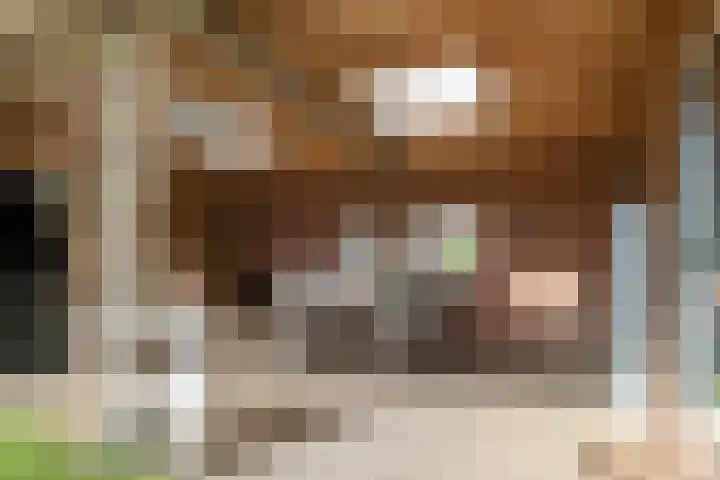 Tjalk 1 Assen thumbnail 39