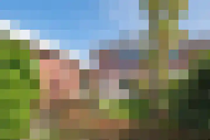 Tjalk 1 Assen thumbnail 43