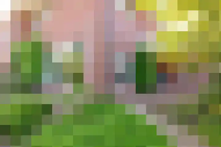Tjalk 1 Assen thumbnail 47