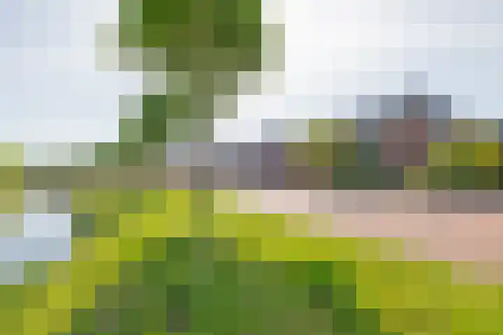 Tjalk 1 Assen thumbnail 50