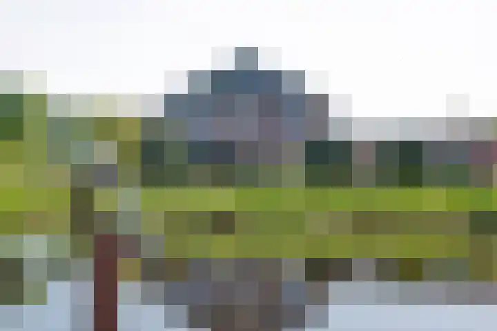 Tjalk 1 Assen thumbnail 53