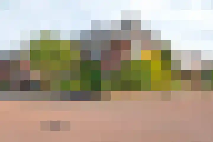 Tjalk 1 Assen thumbnail 55