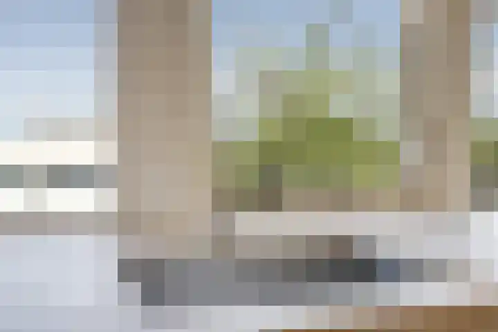 Tjalk 1 Honselersdijk thumbnail 13
