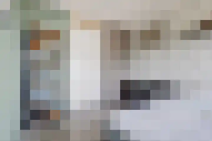 Tjalk 1 Honselersdijk thumbnail 18