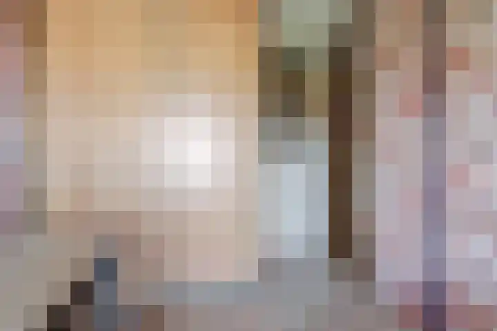 Tjalk 1 Honselersdijk thumbnail 20