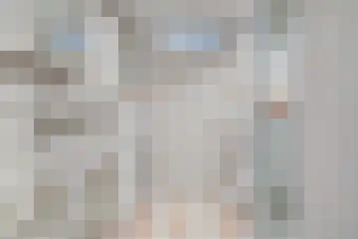Tjalk 1 Honselersdijk thumbnail 24