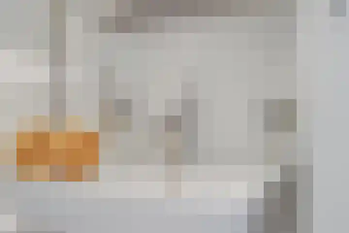 Tjalk 1 Honselersdijk thumbnail 25