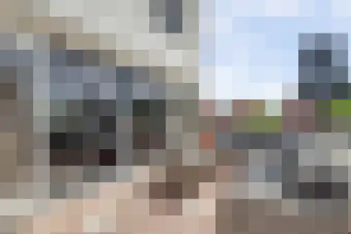 Tjalk 1 Honselersdijk thumbnail 27