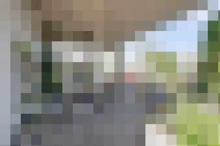 Tjalk 1 Honselersdijk thumbnail 29