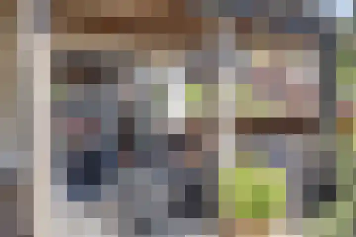Tjalk 1 Honselersdijk thumbnail 30