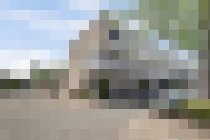 Tjalk 1 Honselersdijk thumbnail 32