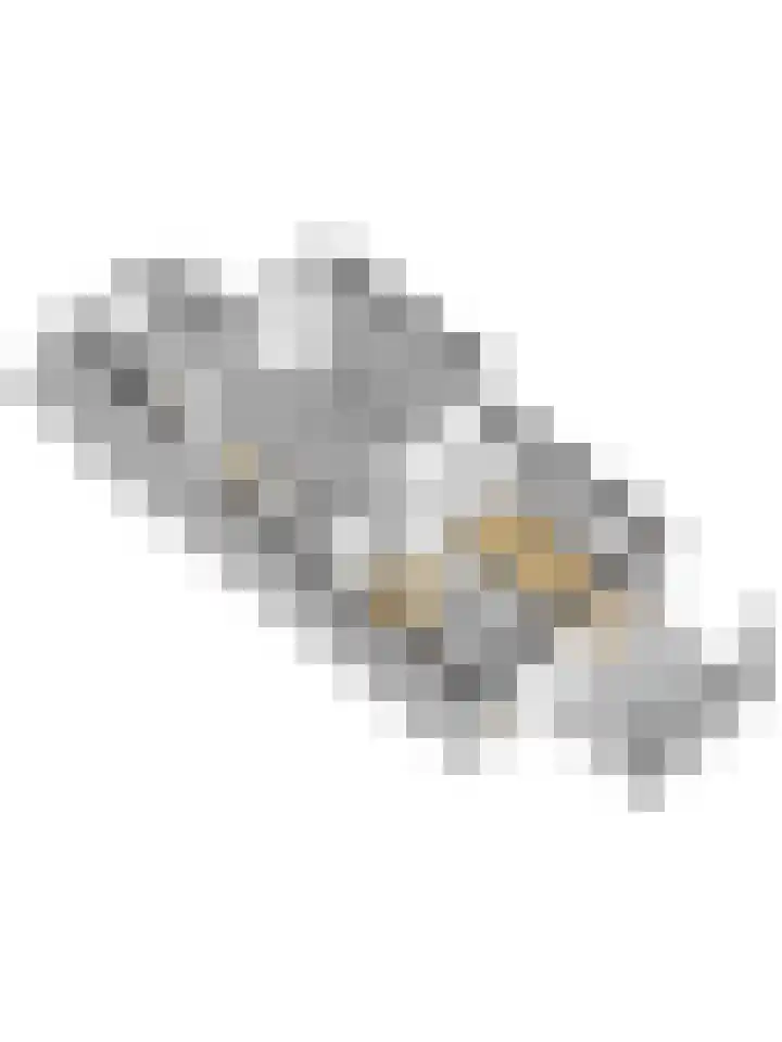 Tjalk 1 Honselersdijk thumbnail 36