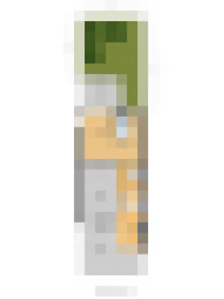 Tjalk 1 Honselersdijk thumbnail 41