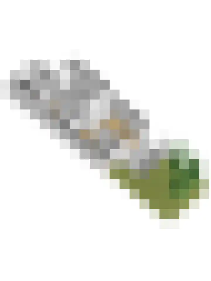 Tjalk 1 Honselersdijk thumbnail 42
