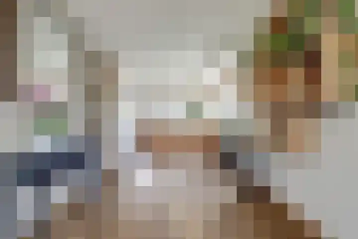 Tjalk 1 Honselersdijk thumbnail 6