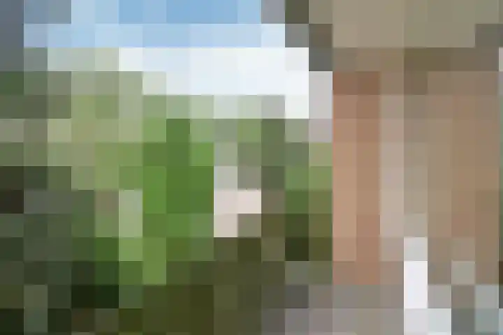 Tjalk 11 Huizen thumbnail 13