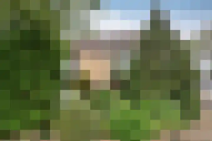 Tjalk 11 Huizen thumbnail 20