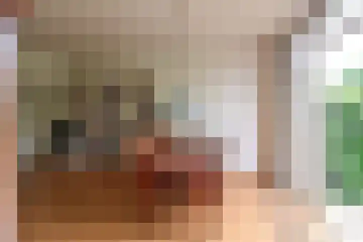 Tjalk 11 Huizen thumbnail 6