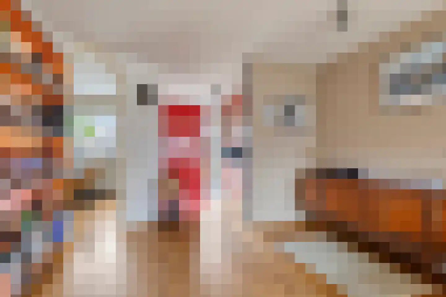 Tjalk 11 Nieuwe Pekela thumbnail 11