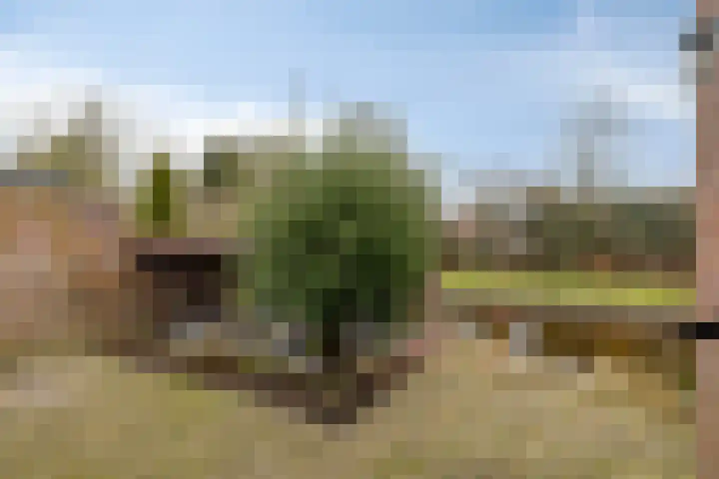 Tjalk 11 Nieuwe Pekela thumbnail 36