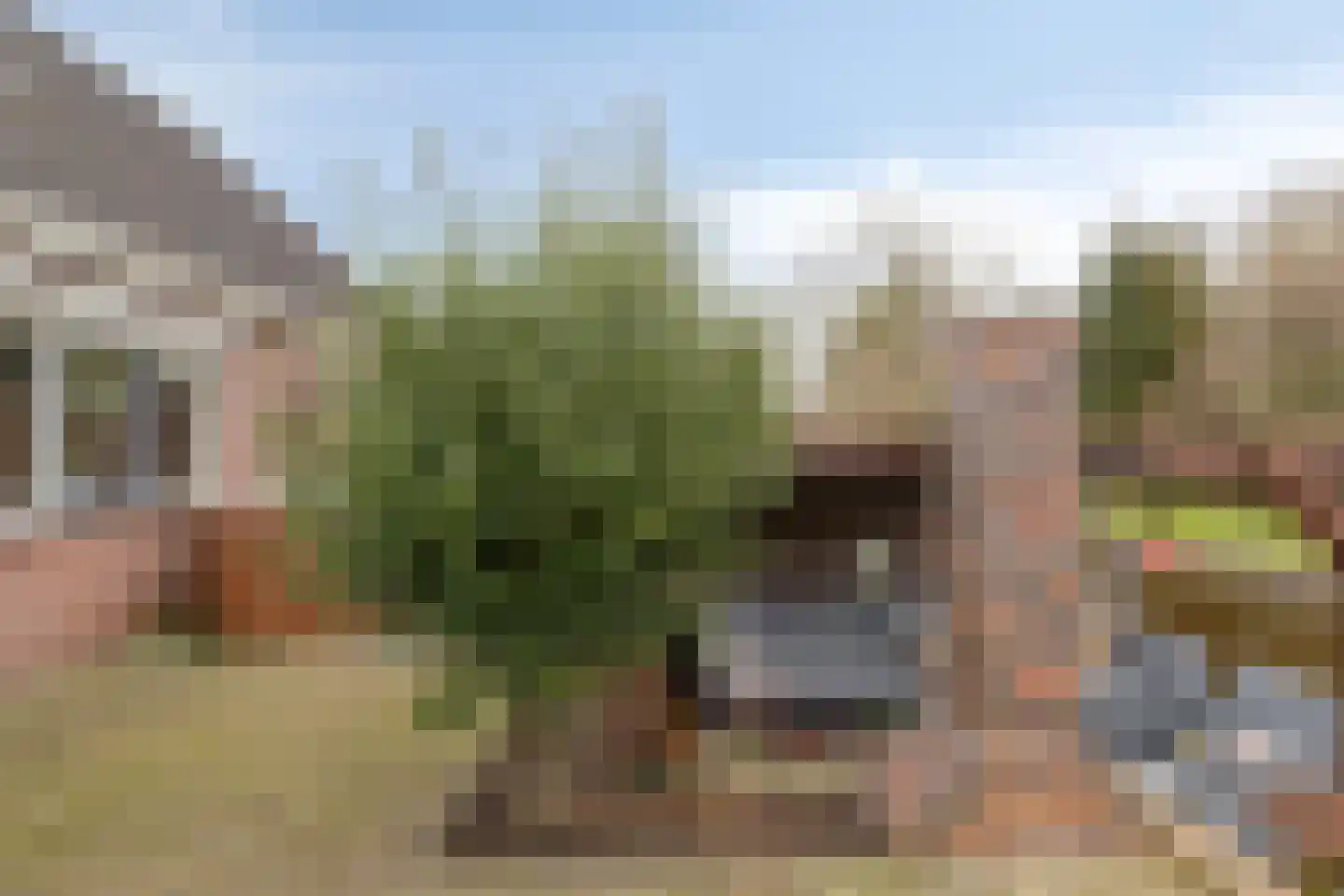 Tjalk 11 Nieuwe Pekela thumbnail 40