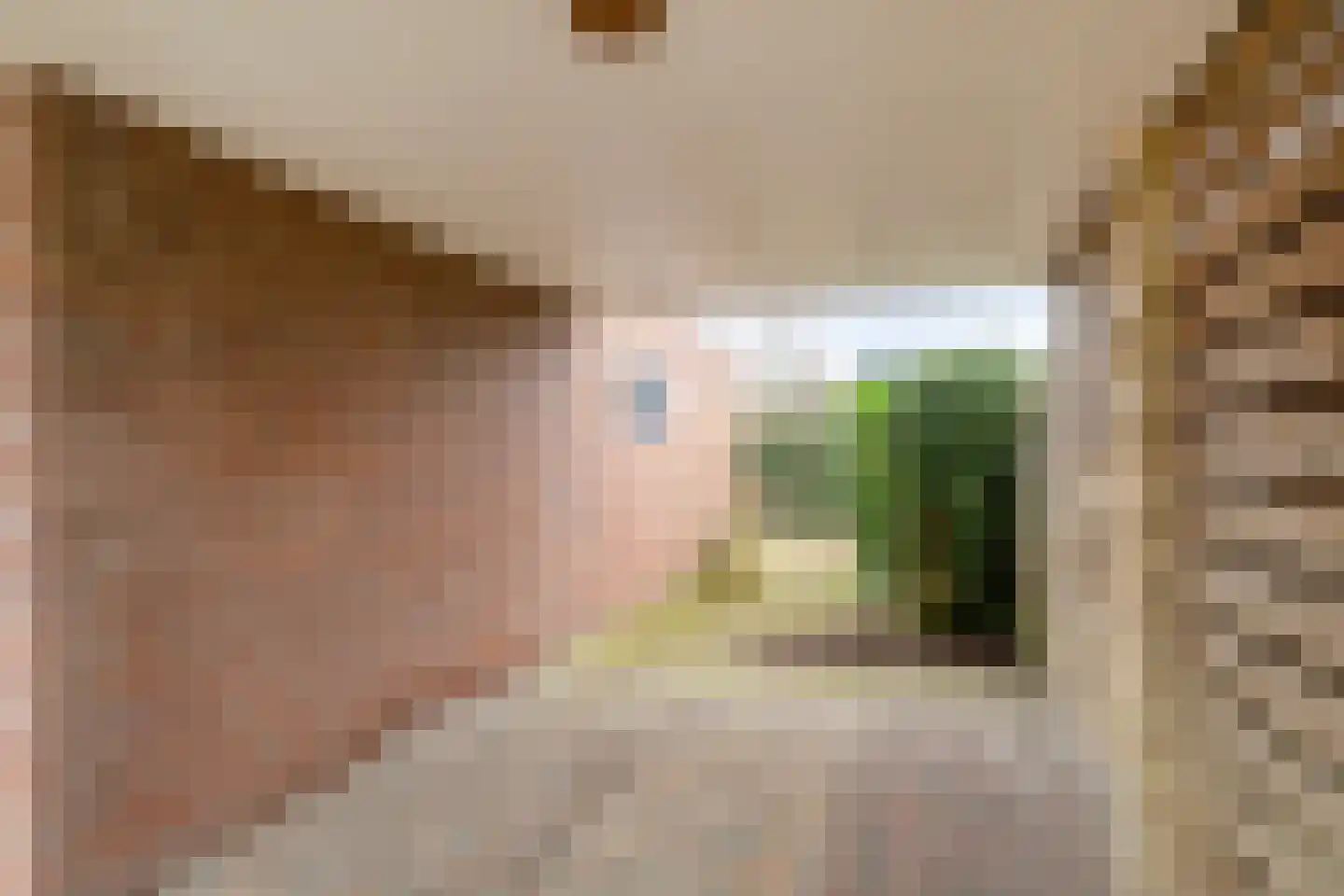 Tjalk 11 Nieuwe Pekela thumbnail 51