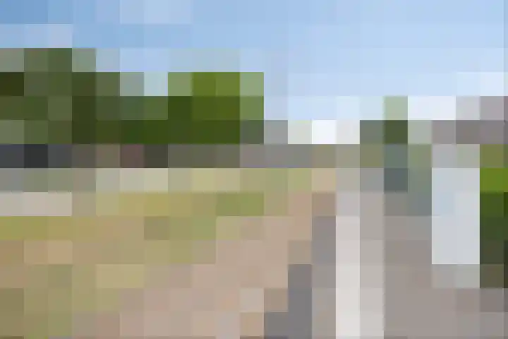Tjalk 11 Schiedam thumbnail 27