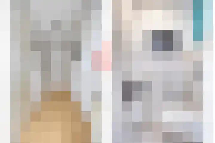 Tjalk 11 Schiedam thumbnail 6