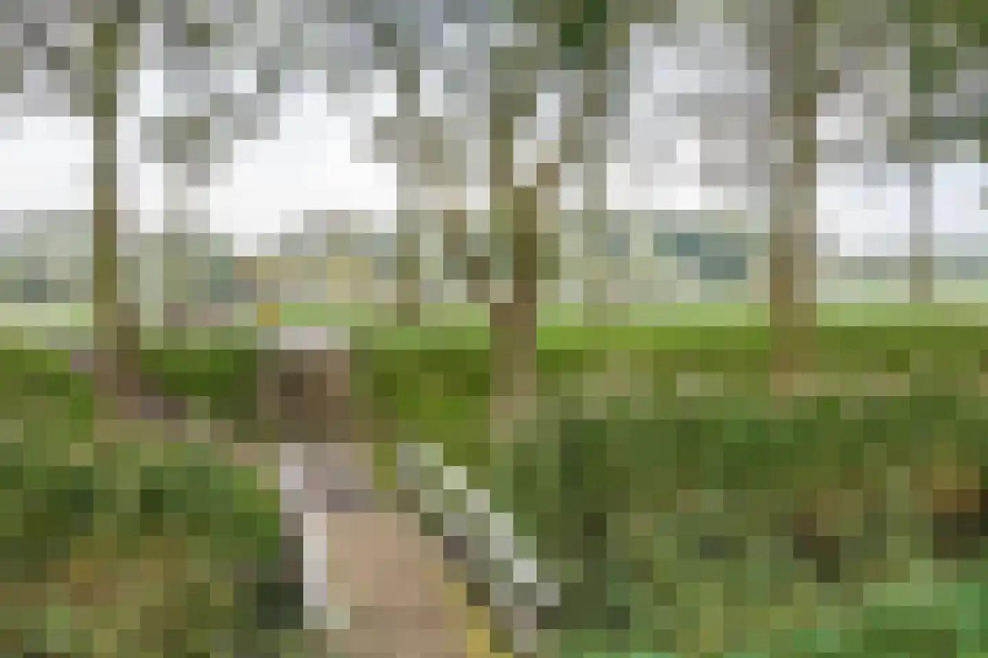 Tjalk 112 Diemen thumbnail 44