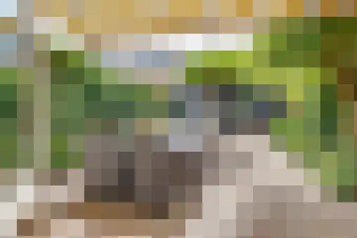 Tjalk 124 Diemen thumbnail 28