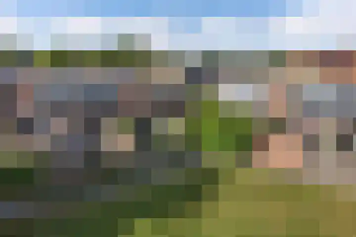 Tjalk 17 17 20 Lelystad thumbnail 39