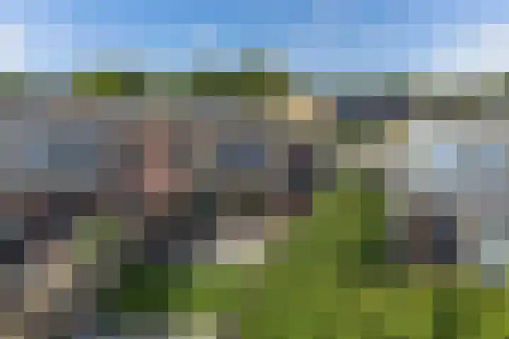 Tjalk 17 17 20 Lelystad thumbnail 40