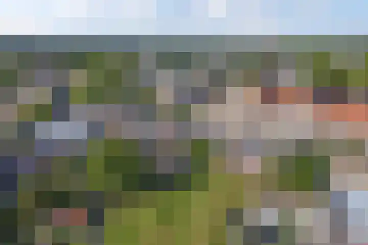 Tjalk 17 17 20 Lelystad thumbnail 41