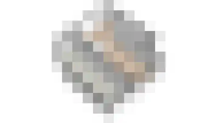 Tjalk 17 17 20 Lelystad thumbnail 44