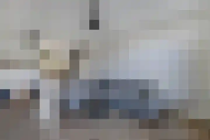 Tjalk 17 20 Lelystad thumbnail 17