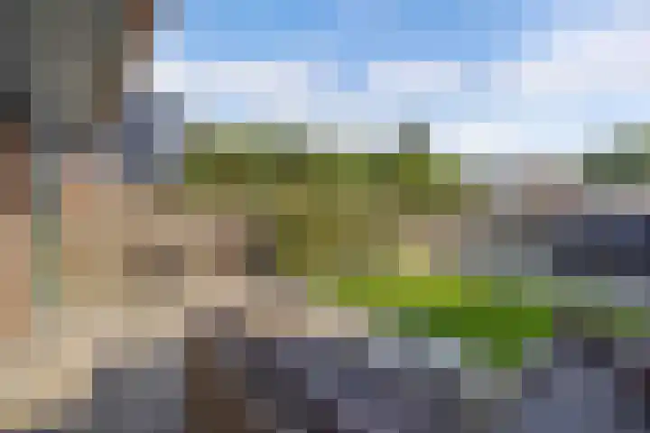Tjalk 17 20 Lelystad thumbnail 33