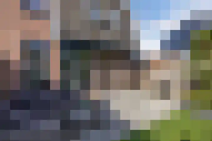 Tjalk 17 20 Lelystad thumbnail 35