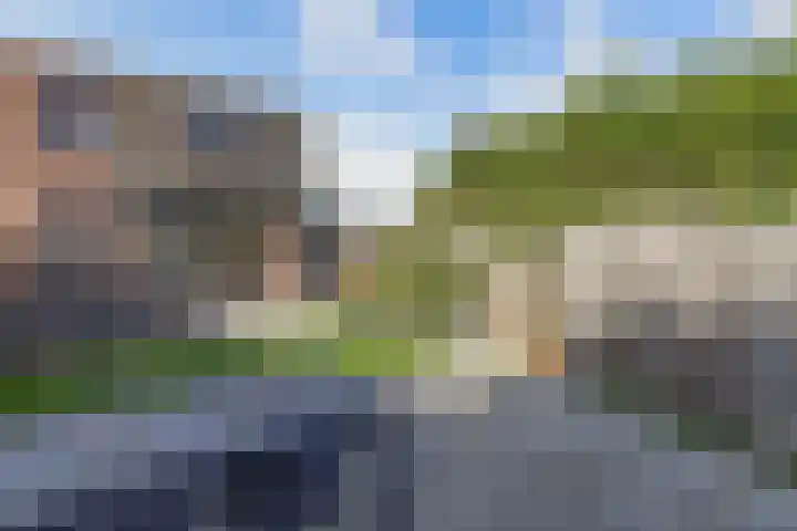 Tjalk 17 20 Lelystad thumbnail 37