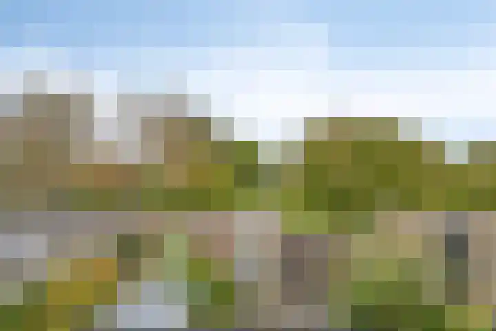 Tjalk 17 37 Lelystad thumbnail 18