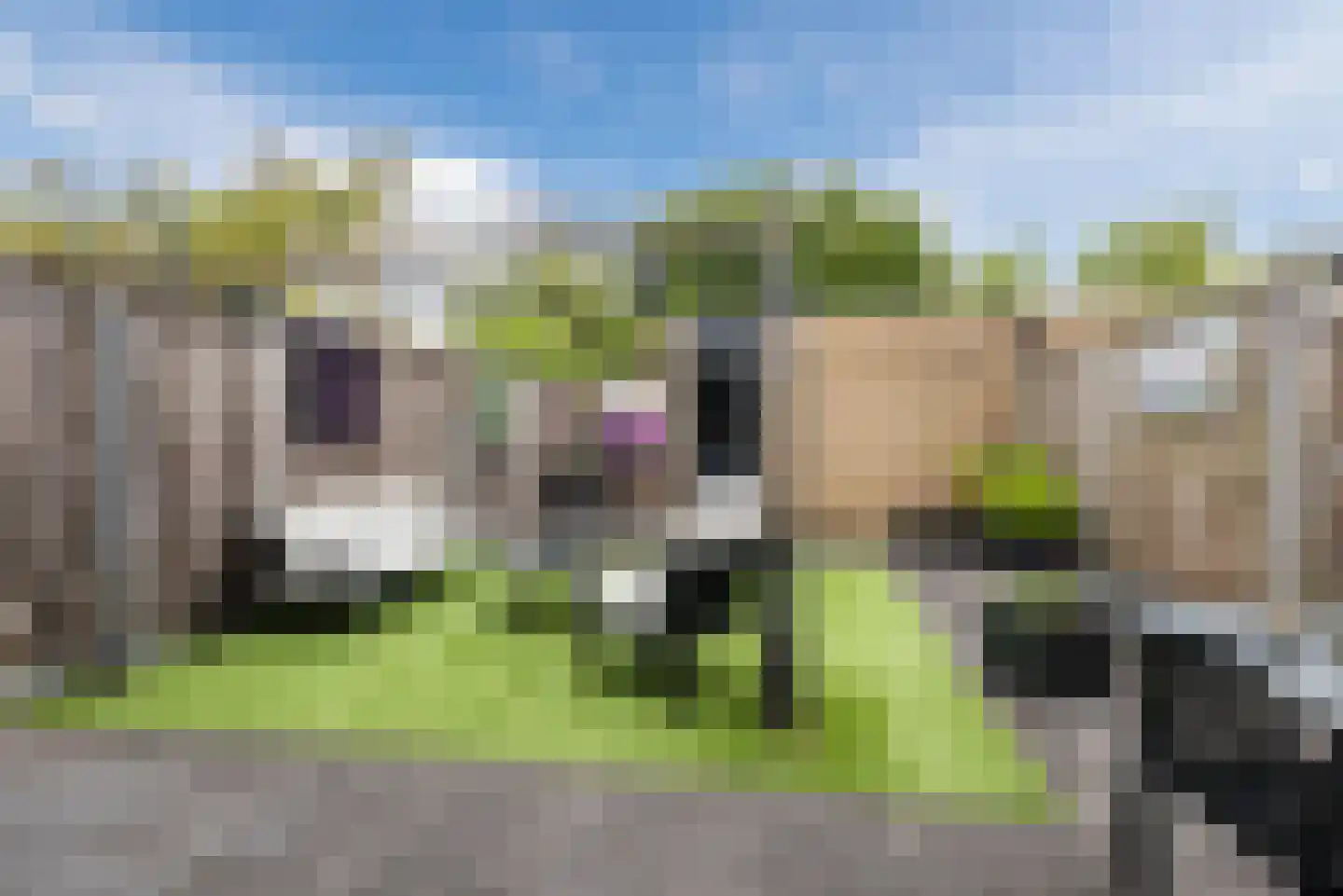 Tjalk 17 39 Lelystad thumbnail 36